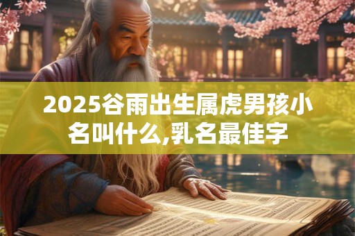 2026谷雨出生属虎男孩小名叫什么,乳名最佳字