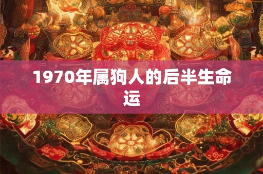 1970年属狗人的后半生命运