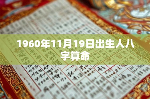 1960年11月19日出生人八字算命