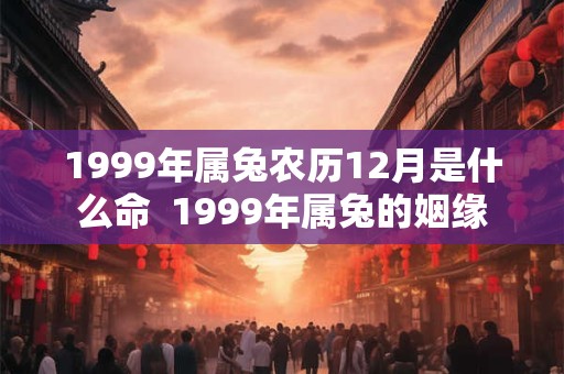 1999年属兔农历12月是什么命  1999年属兔的姻缘