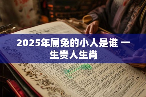 2025年属兔的小人是谁 一生贵人生肖 2025年属兔的小人是谁 一生贵人生肖