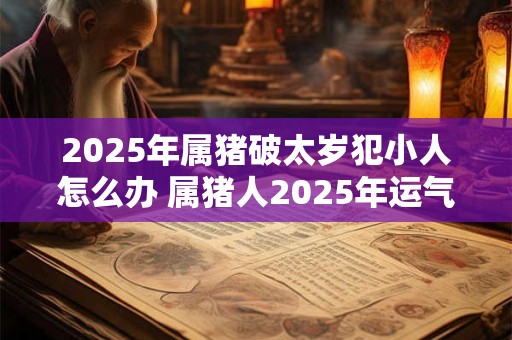 2025年属猪破太岁犯小人怎么办 属猪人2025年运气如何