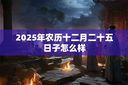 2025年农历十二月二十五日子怎么样