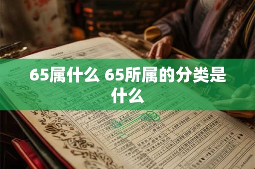 65属什么 65所属的分类是什么