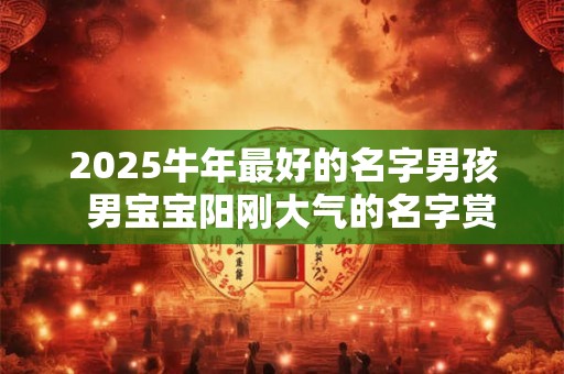 2026牛年最好的名字男孩  男宝宝阳刚大气的名字赏析