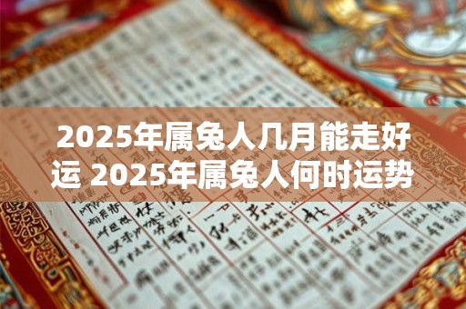 2025年属兔人几月能走好运 2025年属兔人何时运势大好
