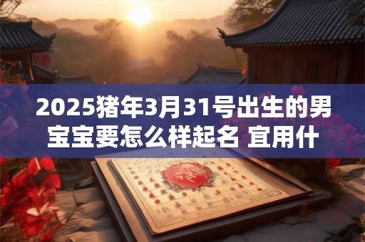 2025猪年3月31号出生的男宝宝要怎么样起名 宜用什么字