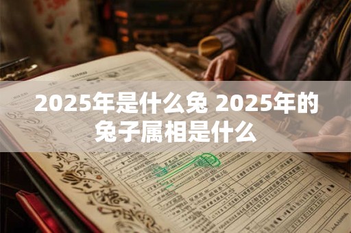 2025年是什么兔 2025年的兔子属相是什么