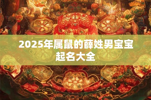 2025年属鼠的薛姓男宝宝起名大全