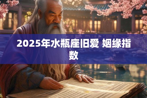 2025年水瓶座旧爱 姻缘指数