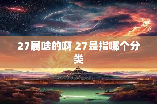 27属啥的啊 27是指哪个分类