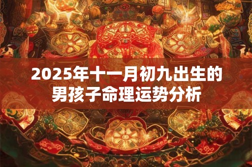 2025年十一月初九出生的男孩子命理运势分析 2025年十一月初九出生的男孩子命理运势分析