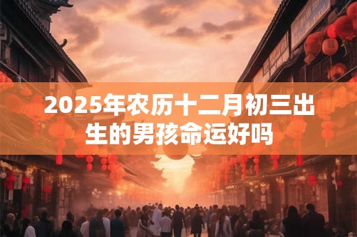 2025年农历十二月初三出生的男孩命运好吗