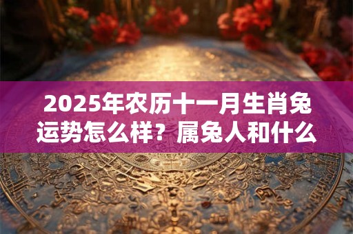 2026年农历十一月生肖兔运势怎么样？属兔人和什么属相犯冲