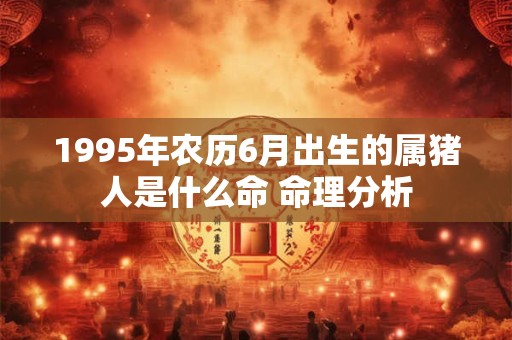 1995年农历6月出生的属猪人是什么命 命理分析
