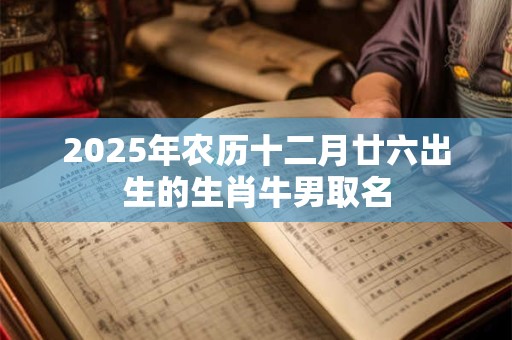2025年农历十二月廿六出生的生肖牛男取名 2025年农历十二月廿六出生的生肖牛男取名
