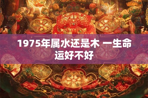 1975年属水还是木 一生命运好不好
