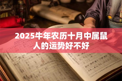 2025牛年农历十月中属鼠人的运势好不好 2025牛年农历十月中属鼠人的运势好不好