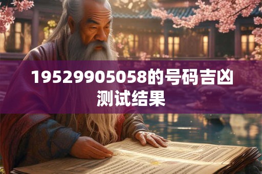 19529905058的号码吉凶测试结果