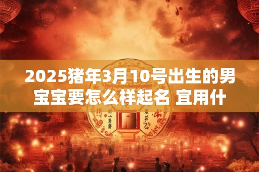 2025猪年3月10号出生的男宝宝要怎么样起名 宜用什么字