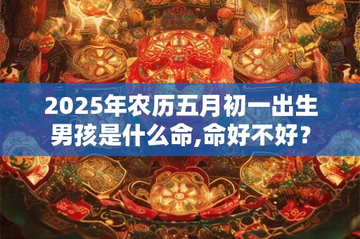 2025年农历五月初一出生男孩是什么命,命好不好? 2025年农历五月初一出生男孩是什么命,命好不好?