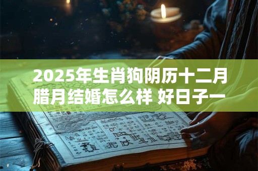 2025年生肖狗阴历十二月腊月结婚怎么样 好日子一览表老黄历 2025年生肖狗阴历十二月腊月结婚怎么样 好日子一览表老黄历