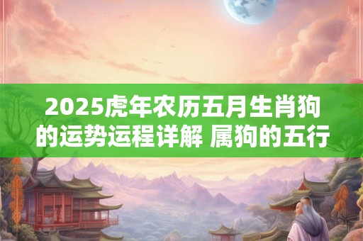 2025虎年农历五月生肖狗的运势运程详解 属狗的五行属什么