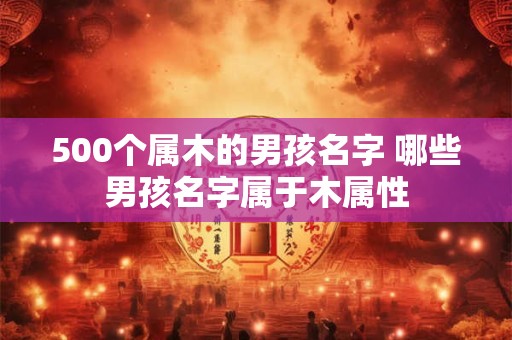 500个属木的男孩名字 哪些男孩名字属于木属性