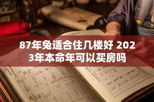 87年兔适合住几楼好 2026年本命年可以买房吗