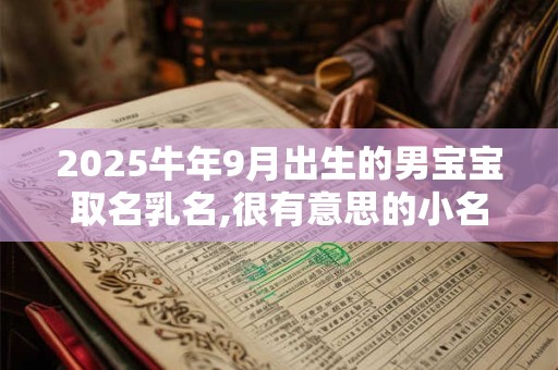 2025牛年9月出生的男宝宝取名乳名,很有意思的小名