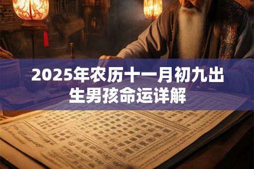 2026年农历十一月初九出生男孩命运详解