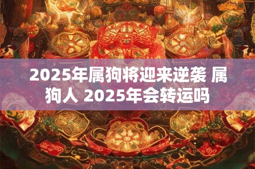 2025年属狗将迎来逆袭 属狗人 2025年会转运吗