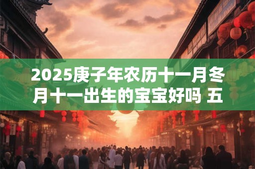 2025庚子年农历十一月冬月十一出生的宝宝好吗 五行八字查询