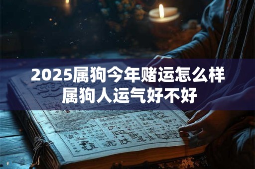 2025属狗今年赌运怎么样 属狗人运气好不好