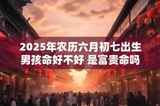 2025年农历六月初七出生男孩命好不好 是富贵命吗
