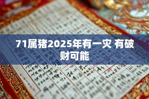 71属猪2025年有一灾 有破财可能