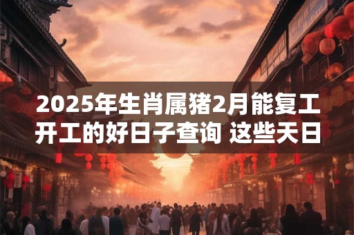 2025年生肖属猪2月能复工开工的好日子查询 这些天日子吉利