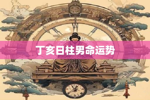 丁亥日柱男命运势