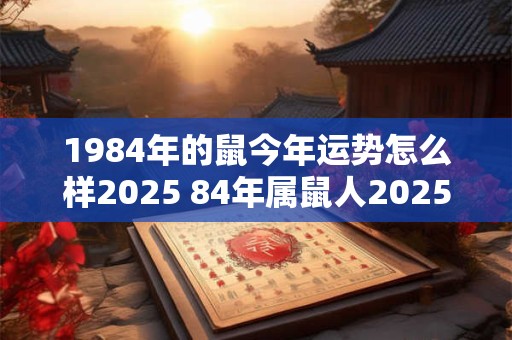 1984年的鼠今年运势怎么样2025 84年属鼠人2025年运气