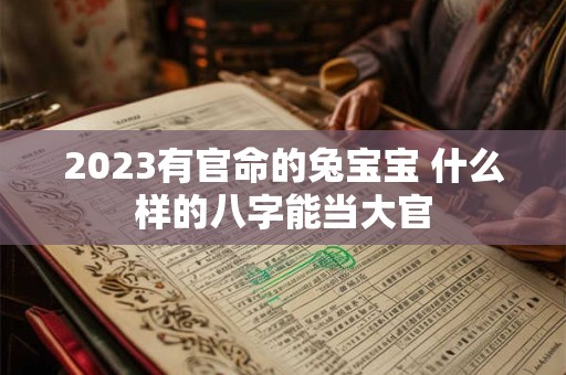 2023有官命的兔宝宝 什么样的八字能当大官 2023有官命的兔宝宝 什么样的八字能当大官