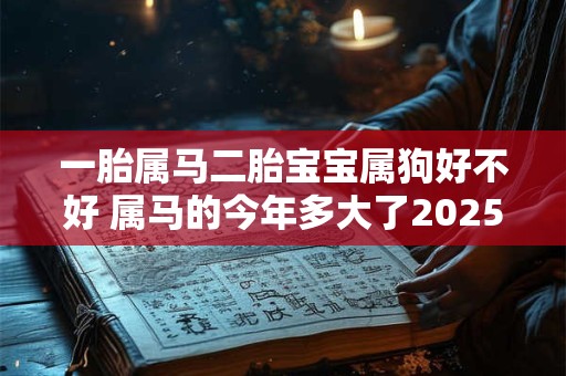 一胎属马二胎宝宝属狗好不好 属马的今年多大了2025