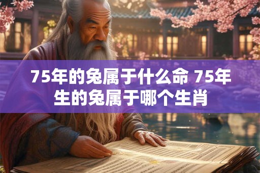 75年的兔属于什么命 75年生的兔属于哪个生肖