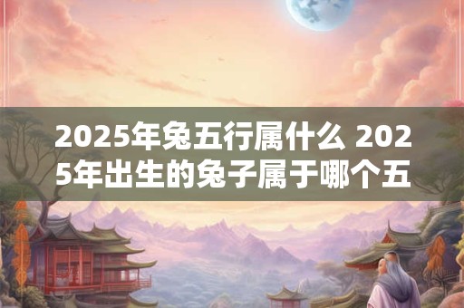 2025年兔五行属什么 2025年出生的兔子属于哪个五行