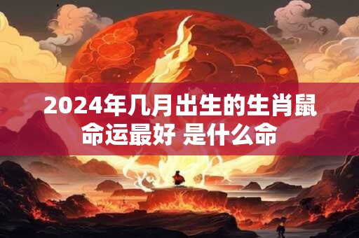 2024年几月出生的生肖鼠命运最好 是什么命