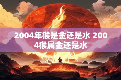 2004年猴是金还是水 2004猴属金还是水