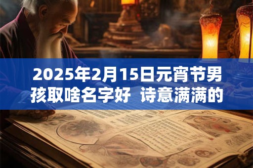 2025年2月15日元宵节男孩取啥名字好  诗意满满的名字