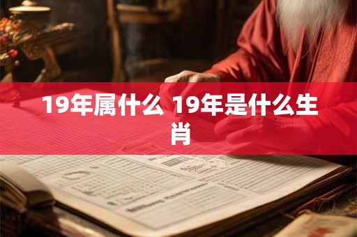 19年属什么 19年是什么生肖