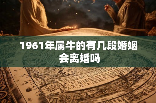 1961年属牛的有几段婚姻 会离婚吗