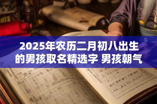 2025年农历二月初八出生的男孩取名精选字 男孩朝气蓬勃的名字