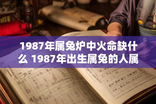 1987年属兔炉中火命缺什么 1987年出生属兔的人属于炉中火命缺少什么